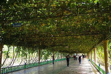 《怒之铁拳4》5月24日登陆移动端 特性预告公开